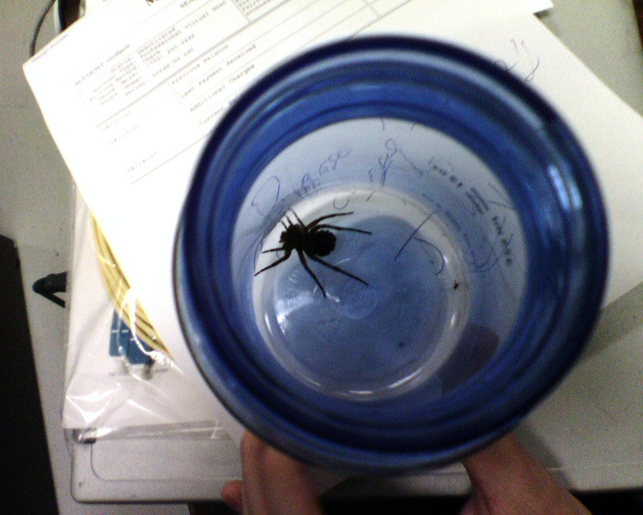 Things you find at the colo
