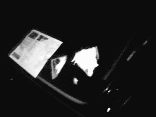 Stupid campaign workers
